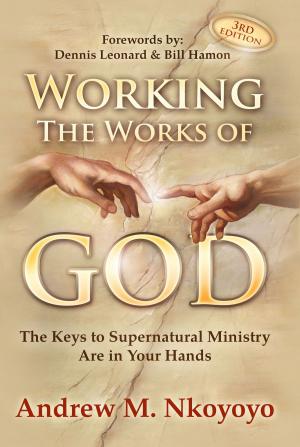 Cover of the book Working The Works of God, 3rd Edition by Patrick Sookhdeo