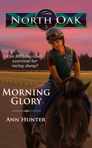 Book cover of Morning Glory