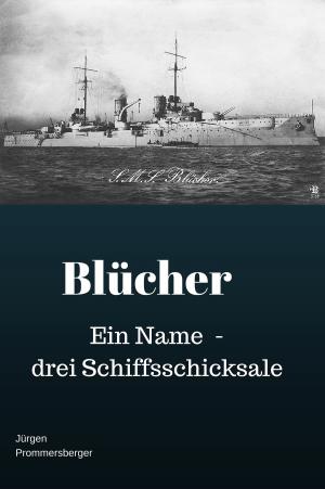 Cover of the book Blücher by Jürgen Prommersberger