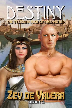 Cover of the book Destiny by Pelaam