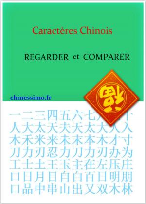 Cover of the book Caractères Chinois by Neo Scalta