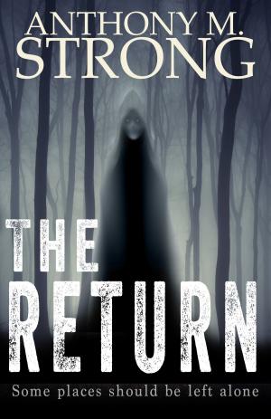 Cover of the book The Return by Jeffrey Kosh