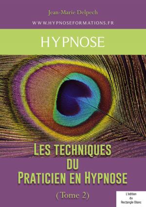 Cover of the book Les techniques du Praticien en Hypnose (Tome 2) by Jean-Marie Delpech-Thomas