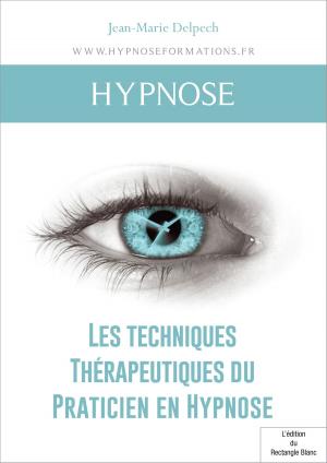 Book cover of Les techniques Thérapeutiques du Praticien en Hypnose