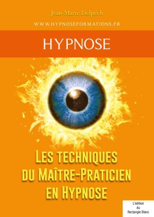 Cover of Les techniques du Maître-Praticien en Hypnose