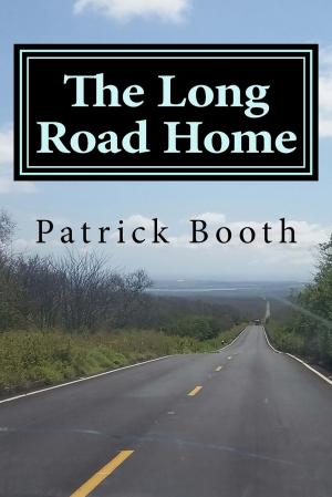 Cover of the book The Long Road Home by Christine Duminiak