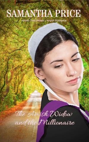 Book cover of The Amish Widow and the Millionaire