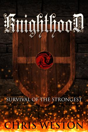 Cover of the book Knighthood by M.H. Lee