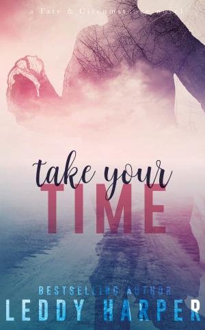 Cover of the book Take Your Time by Wendy Corsi Staub