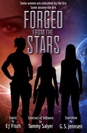 Cover of the book Forged From The Stars by G.N.Paradis