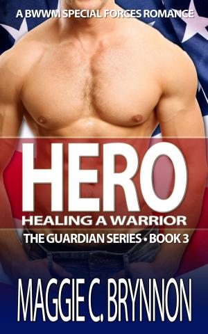 Cover of the book Hero: Healing a Warrior, Book 3 by Abigail Padgett
