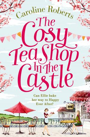 Cover of the book The Cosy Teashop in the Castle by Zara Stoneley
