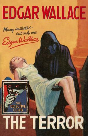 Cover of the book The Terror (Detective Club Crime Classics) by Joseph Polansky