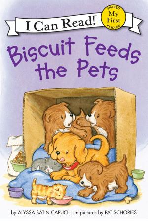 Book cover of Biscuit Feeds the Pets