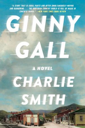Cover of the book Ginny Gall by Lenora Chu