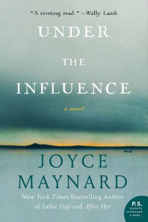 Cover of the book Under the Influence by Katia Lief