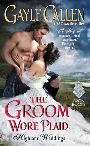 Cover of the book The Groom Wore Plaid by Meg North