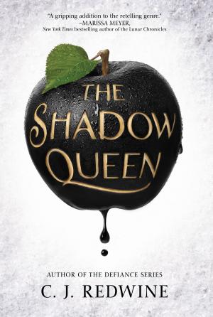 Cover of the book The Shadow Queen by Katie Cotugno