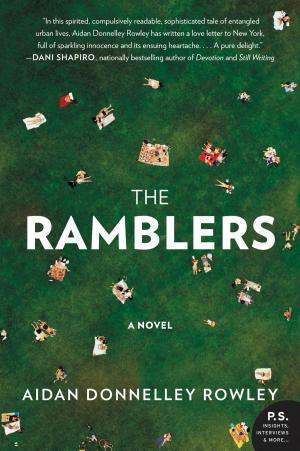 Cover of the book The Ramblers by J.R. Bergstrom