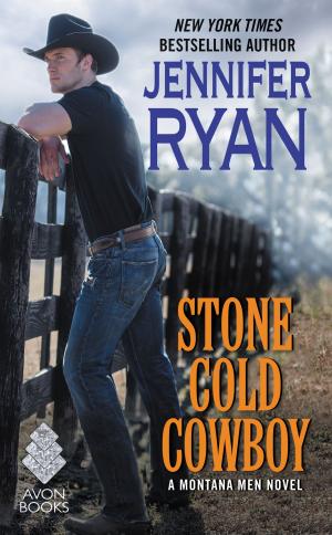 Cover of the book Stone Cold Cowboy by Lena Diaz