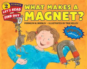 Cover of the book What Makes a Magnet? by Kimberly Dean, James Dean