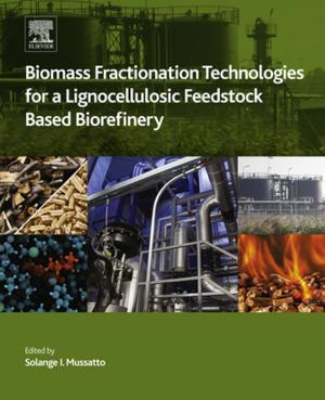Cover of the book Biomass Fractionation Technologies for a Lignocellulosic Feedstock Based Biorefinery by Sarah Cisse