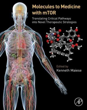 Cover of the book Molecules to Medicine with mTOR by Rudi van Eldik, Grazyna Stochel