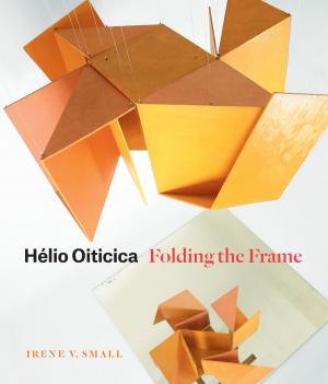 Book cover of Hélio Oiticica