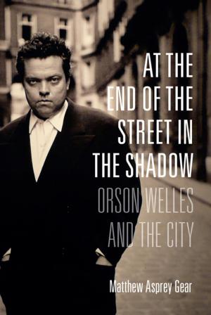 Cover of the book At the End of the Street in the Shadow by David Galef