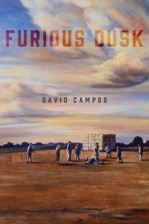 Cover of the book Furious Dusk by Mary F. Thurlkill