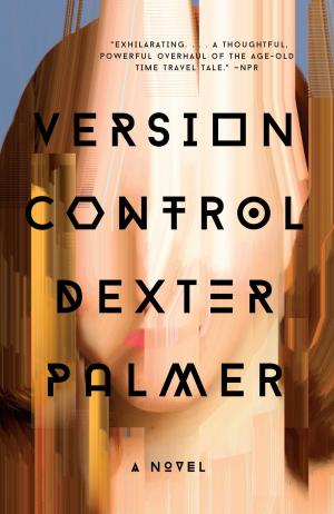 Cover of the book Version Control by Brian Greene