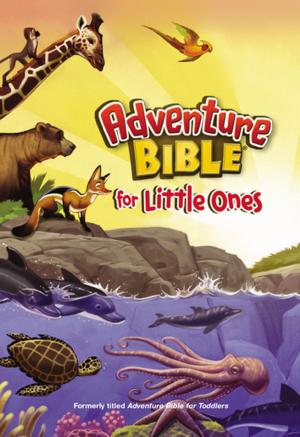 Cover of the book Adventure Bible for Little Ones by Stan Berenstain, Jan Berenstain, Mike Berenstain