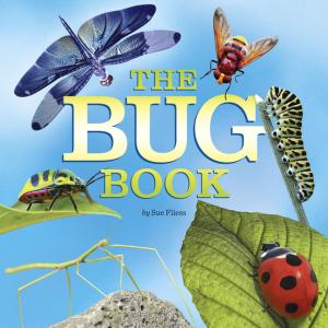 Cover of the book The Bug Book by Jane Yolen, Adam Stemple