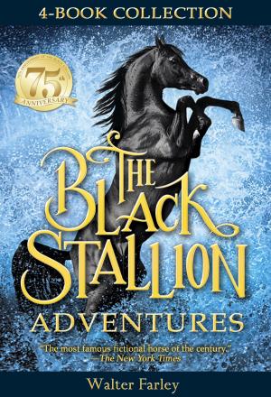 Cover of the book The Black Stallion Adventures by Ruth Stiles Gannett