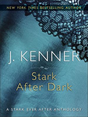 Cover of the book Stark After Dark by Elizabeth Thornton
