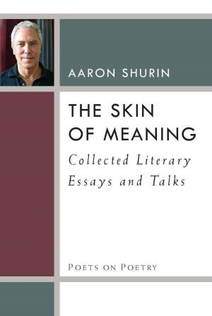 Cover of the book The Skin of Meaning by Nandi Bhatia