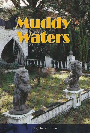 Cover of the book MUDDY WATERS by Rollo Gebhard