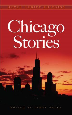 Cover of the book Chicago Stories by Daniel Beard