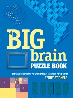 Cover of the book The Big Brain Puzzle Book by Andrew Mayne