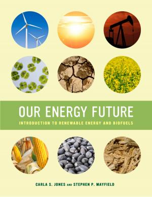 Cover of the book Our Energy Future by Janice T. Driesbach, Harvey L. Jones, Katherine Church Holland