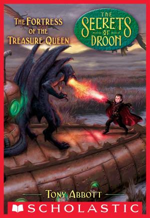Cover of the book The Fortress of the Treasure Queen (The Secrets of Droon #23) by Gordon Korman