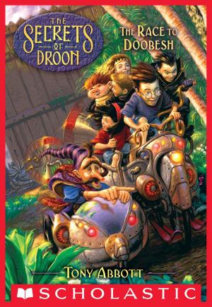 Cover of the book The Race to Doobesh (The Secrets of Droon #24) by Jeff Smith