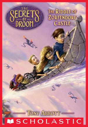 Cover of the book The Riddle of Zorfendorf Castle (The Secrets of Droon #25) by Geronimo Stilton
