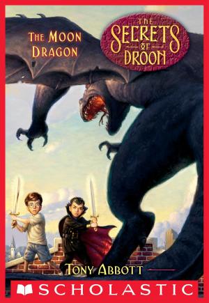 Cover of the book The Moon Dragon (The Secrets of Droon #26) by Maggie Stiefvater