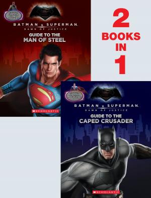 Book cover of Batman Vs. Superman: Dawn of Justice: Movie Flip Book