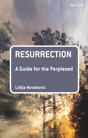 Cover of the book Resurrection: A Guide for the Perplexed by Dr Sarah Carr