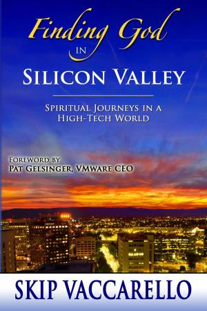 Cover of the book Finding God in Silicon Valley by Janice Simsohn Shaw