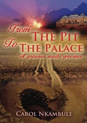 Cover of From the Pit to the Palace