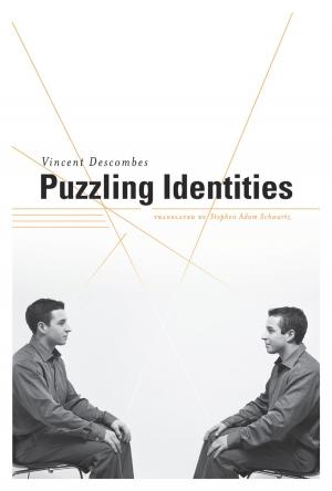 Book cover of Puzzling Identities