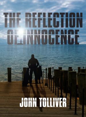 Cover of the book The Reflection of Innocence by Craig Van Sickle, Steven Mitchell